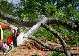 Best Seasonal Cleanup (Spring/Fall)  in Crystal Lawns, IL