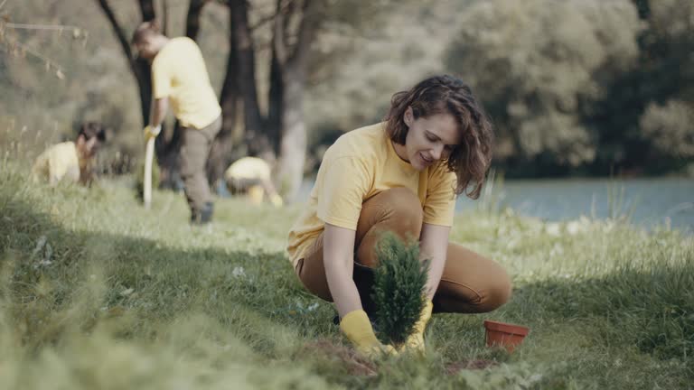 Reliable Crystal Lawns, IL Tree Removal Solutions